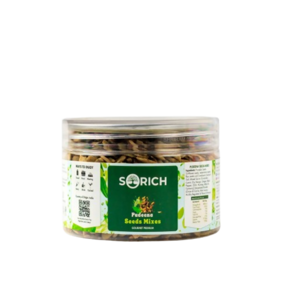Sorich Organics Pudina Treat Seeds Mix | Grocsy