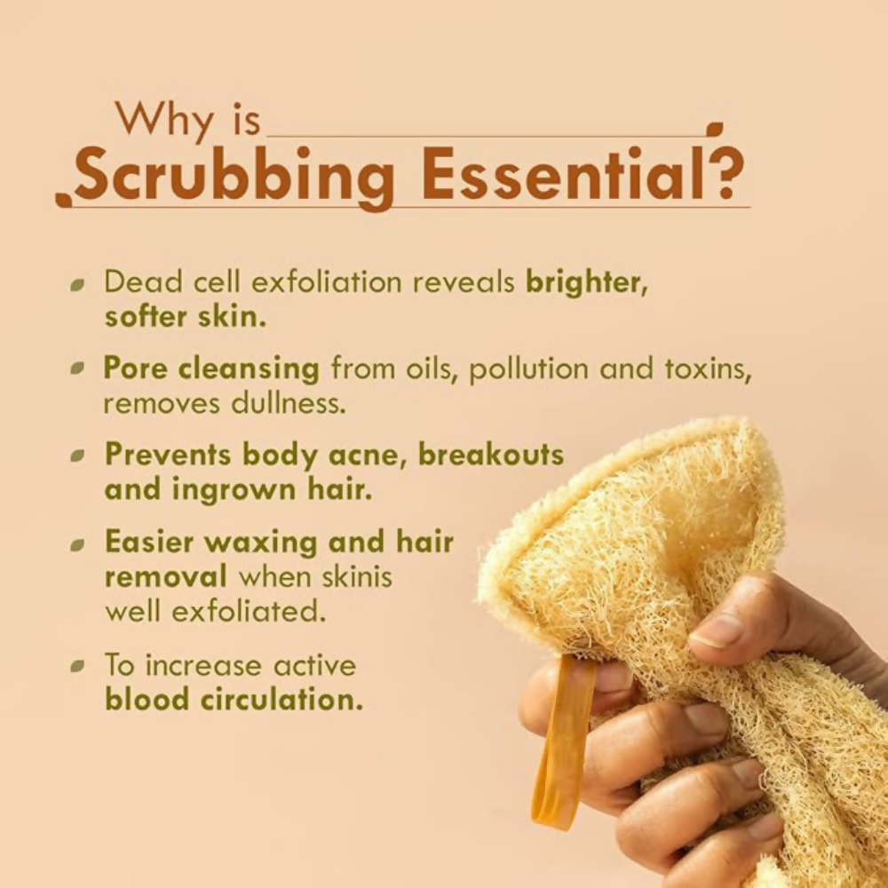 Bronson Professional Natural Sun Dried Bath Loofah | Grocsy