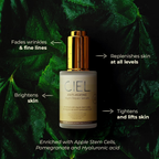 Ciel Anti-Ageing Night Repair Serum For Smoother, Younger Skin | Grocsy