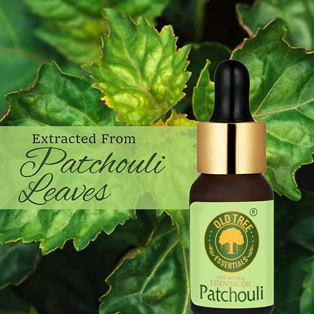 Old Tree Patchouli Essential Oil | Grocsy