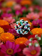 Inhanns Rang-E-Roshan Adjustable Ring – Handmade Crystal Statement Ring - Multicolor 1 | Grocsy