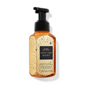 Bath & Body Works Into The Night Gentle & Clean Foaming Hand Soap | Grocsy