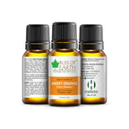 Bliss of Earth Premium Essential Oil Sweet Orange | Grocsy