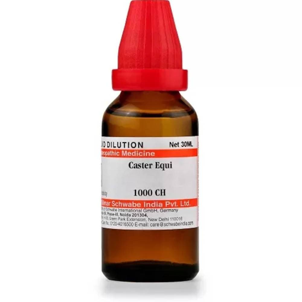 Dr. Willmar Schwabe India Castor Equi Dilution | Grocsy