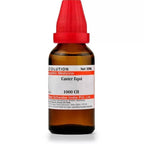 Dr. Willmar Schwabe India Castor Equi Dilution | Grocsy