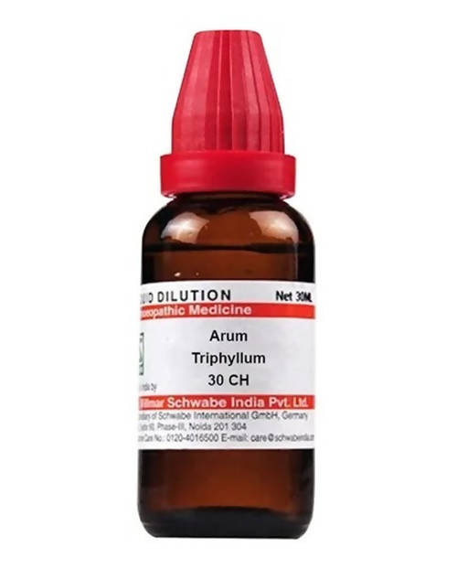 Dr. Willmar Schwabe India Arum Triphyllum Dilution | Grocsy