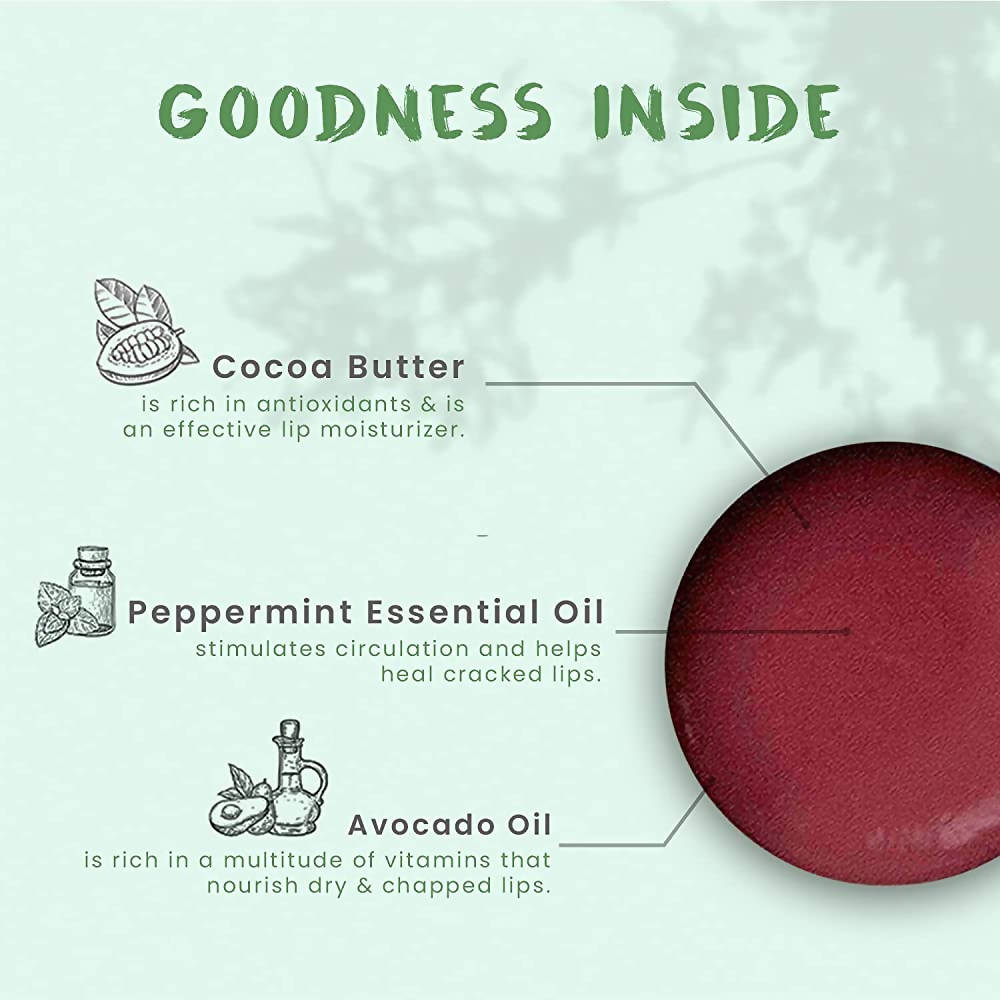FOY Naturals Cocoa Mint Lip Balm | Grocsy