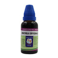 Father Muller Gratiola Officinalis Mother Tincture Q | Grocsy