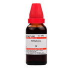 Dr. Willmar Schwabe India Belladonna Mother Tincture Q | Grocsy