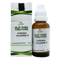 Allen Homeopathy Cydonia Vulgaris Mother Tincture Q | Grocsy