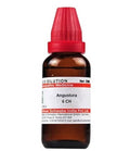 Dr. Willmar Schwabe India Angustura Dilution | Grocsy