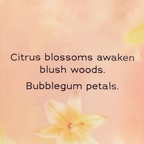 Victoria's Secret Orange Flower Sun Limited Edition Into the Clouds Body Lotion | Grocsy