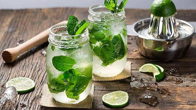 Newtrition Plus Sugar Free Virgin Mojito Syrup | Grocsy