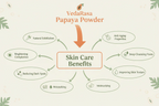 VedaRasa Papaya Powder | Grocsy