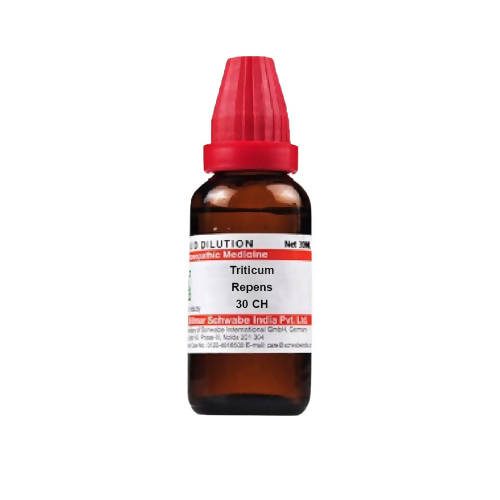 Dr. Willmar Schwabe India Triticum Repens Dilution | Grocsy