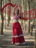 Tulsi Art Incredible Red Sequins Georgette Designer Lehenga Choli With Dupatta | Grocsy