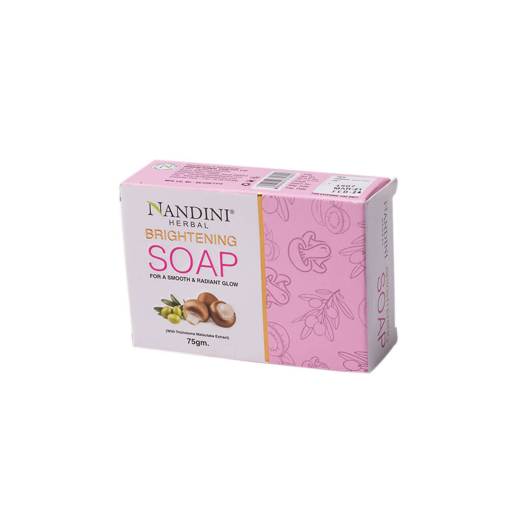 Nandini Herbal Brightening Soap | Grocsy