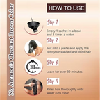 VedicAyurveda Henna Based Hair Colour, Natural Black and Chestnut Brown | Grocsy