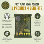 First Plant Premium Rajasthani Henna Powder | Grocsy