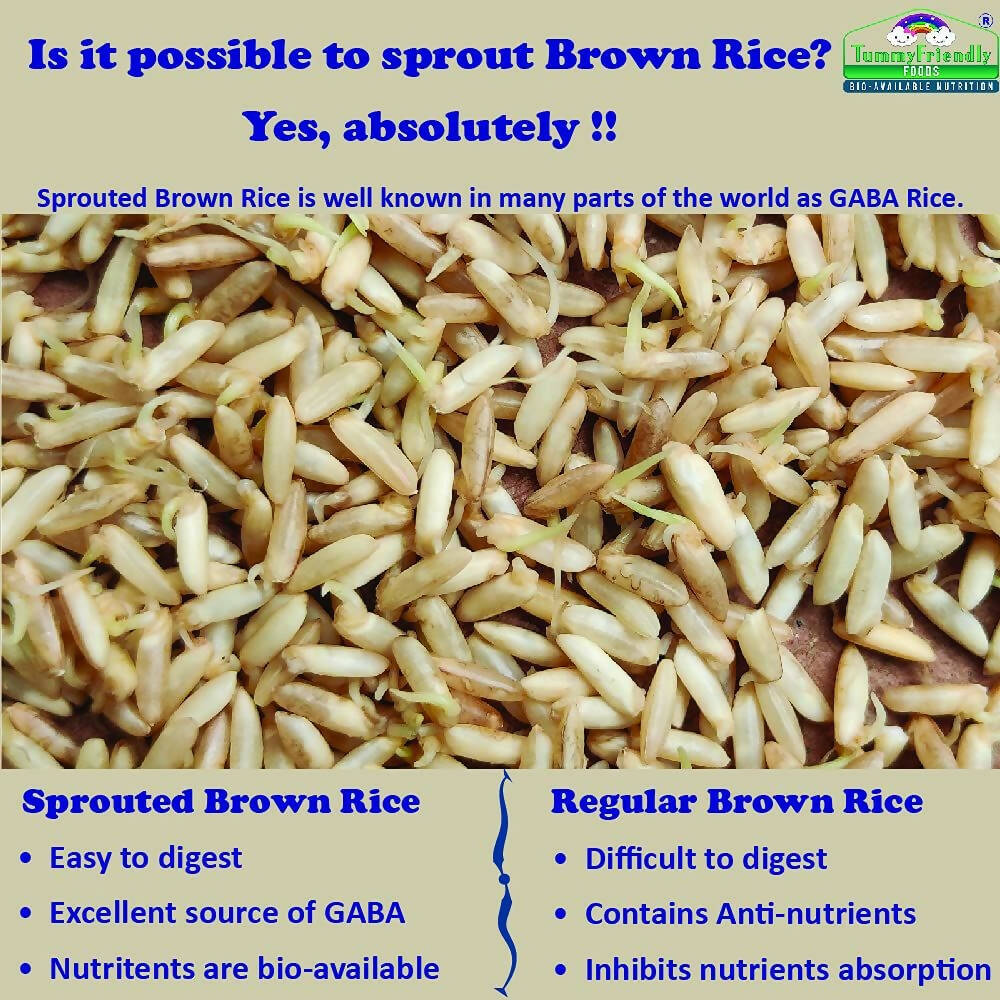 TummyFriendly Foods Certified Organic Sprouted Brown Rice, Red Lentil, Spinach, Green Peas Porridge Mix | Grocsy