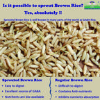TummyFriendly Foods Certified Organic Sprouted Brown Rice, Red Lentil, Spinach, Green Peas Porridge Mix | Grocsy