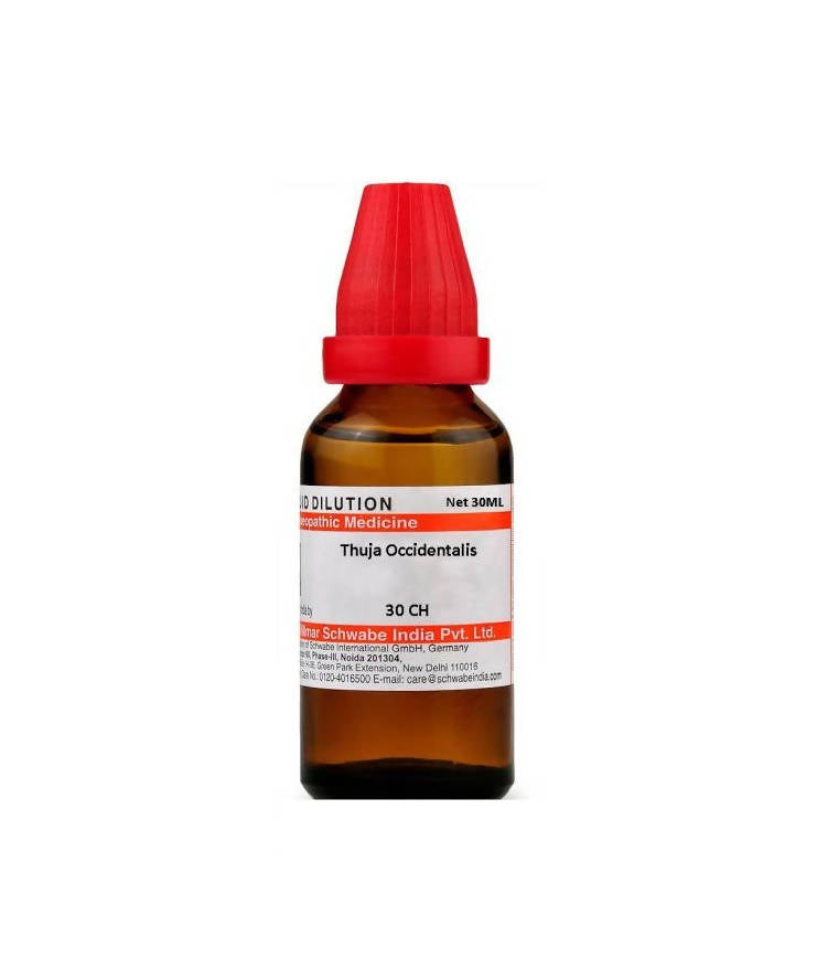 Dr. Willmar Schwabe India Thuja Occidentalis Dilution | Grocsy