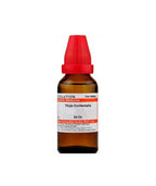 Dr. Willmar Schwabe India Thuja Occidentalis Dilution | Grocsy