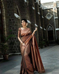 DEIANA'S Beautiful Designer Golden zari Soft Lichi Silk Saree - Brown | Grocsy