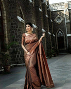 DEIANA'S Beautiful Designer Golden zari Soft Lichi Silk Saree - Brown | Grocsy