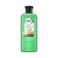 Herbal Essences Sulfate Free potent Aloe +Bamboo Real Botanicals Strength Shampoo | Grocsy