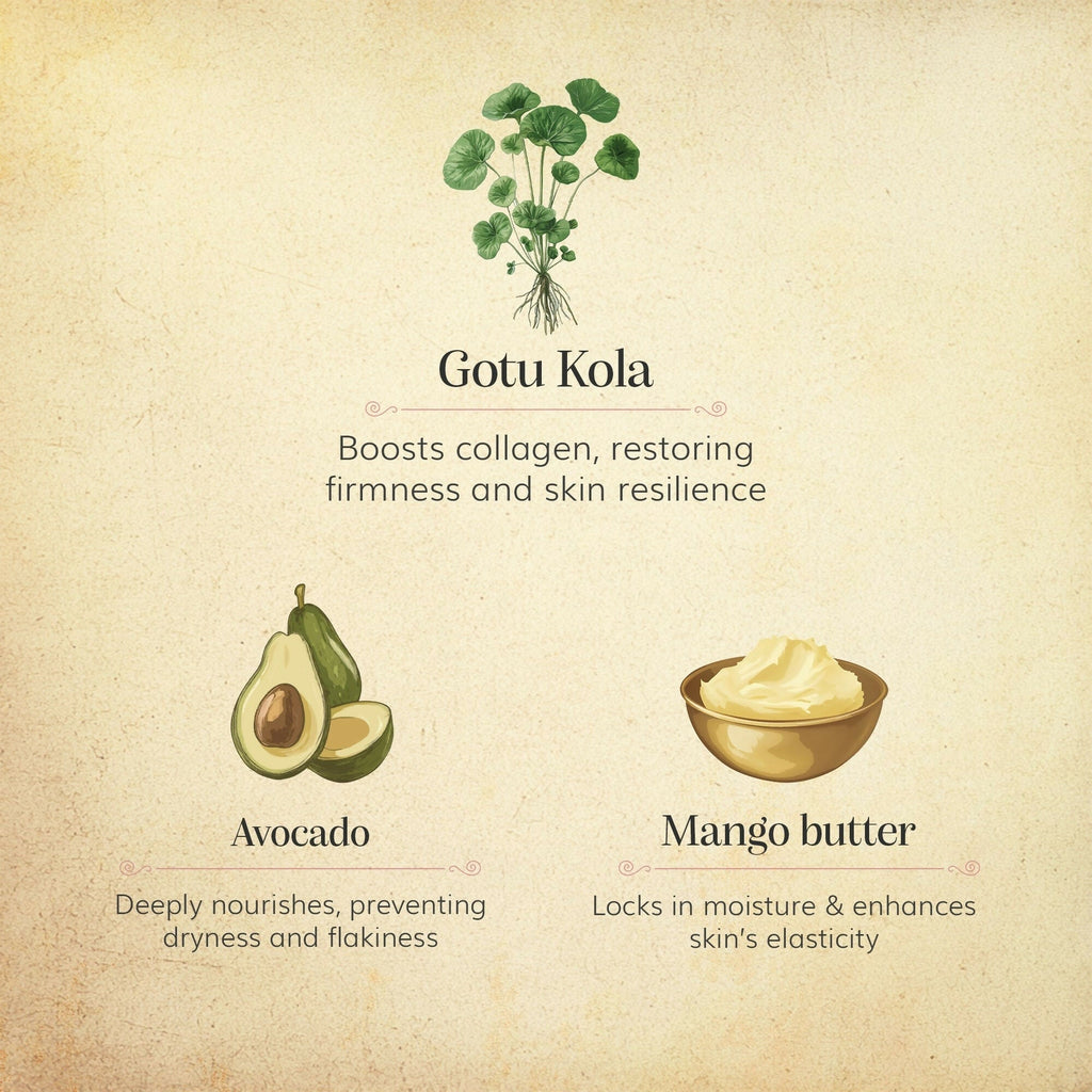 Chengavi Gotu kola & Avocado Day Cream | Grocsy