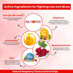 HealthAid Fe Max ThiSolves Oral Strips