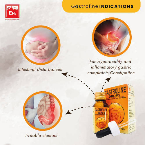 Everest Homeopathy Gastroline Drops | Grocsy
