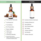 Blise organic Cinnamon Essential oil | Grocsy