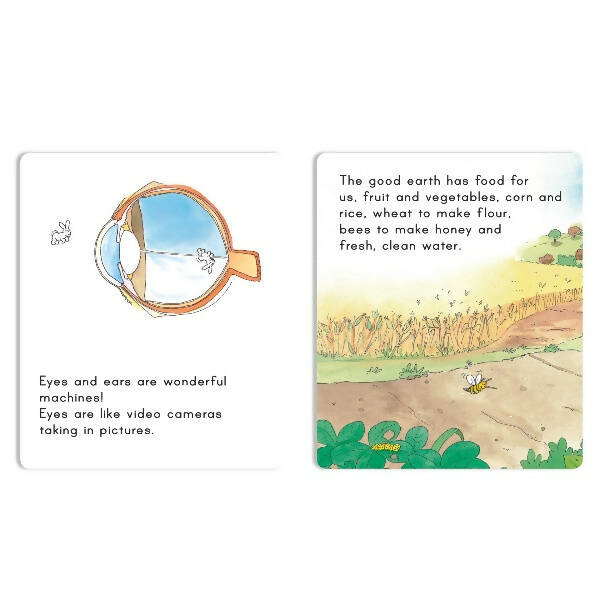 Jolly Scholars Physical Well Being Story Books Set of 8| Promote Physical Health Activity Books Ages 3-6 Years | Grocsy
