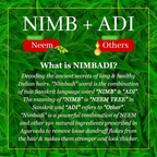 The Indie Earth Nimbadi Hair Oil For Healthy & Dandruff Free Hairs | Grocsy